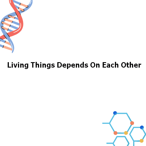 Living Things Depends On Each Other